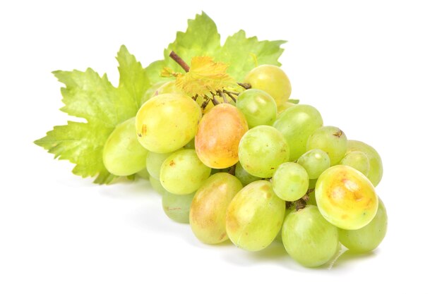 1646814375-grapes-isolated-white_181303-1363.jpg